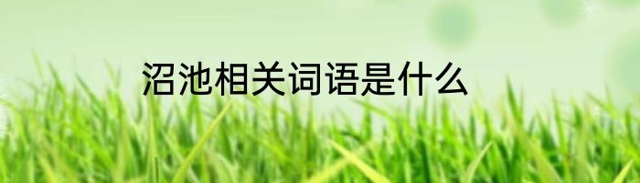 沼池相关词语是什么