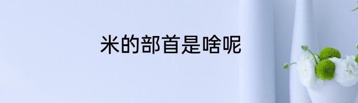 米的部首是啥呢