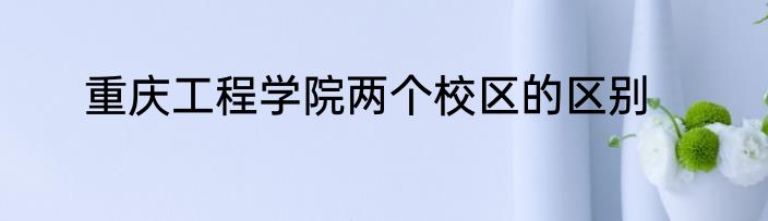 重庆工程学院两个校区的区别
