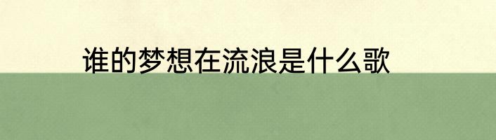 谁的梦想在流浪是什么歌