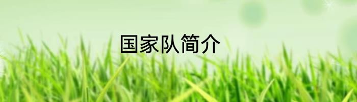 国家队简介