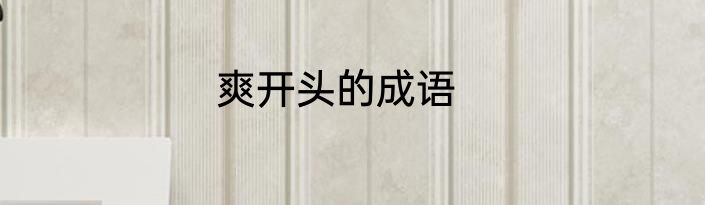 爽开头的成语