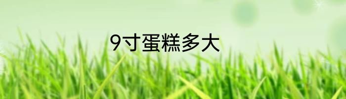 9寸蛋糕多大