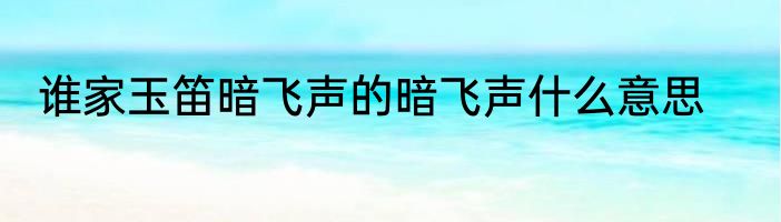 谁家玉笛暗飞声的暗飞声什么意思