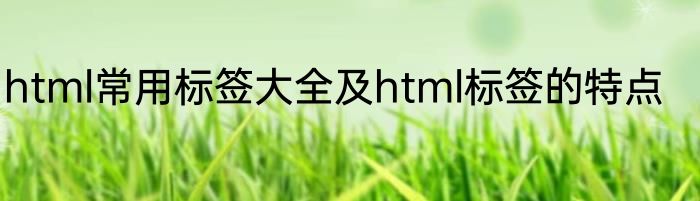 html常用标签大全及html标签的特点