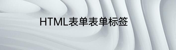 HTML表单表单标签