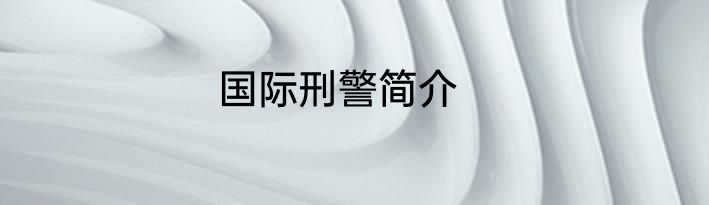 国际刑警简介