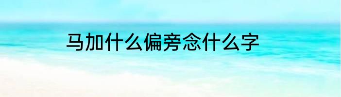 马加什么偏旁念什么字
