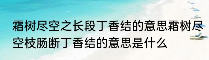 霜树尽空之长段丁香结的意思霜树尽空枝肠断丁香结的意思是什么