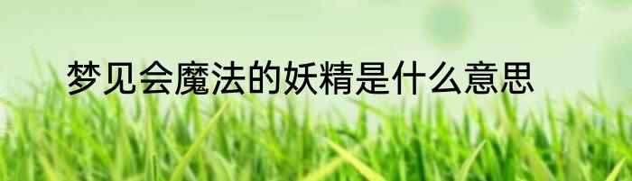 梦见会魔法的妖精是什么意思