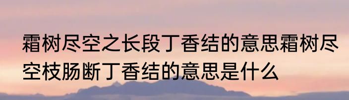霜树尽空之长段丁香结的意思霜树尽空枝肠断丁香结的意思是什么