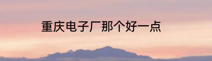 重庆电子厂那个好一点