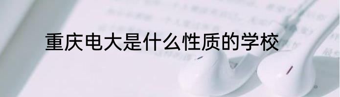 重庆电大是什么性质的学校