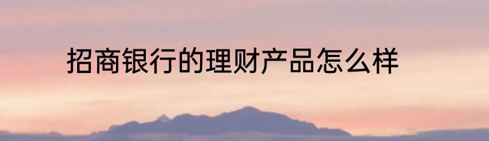 招商银行的理财产品怎么样