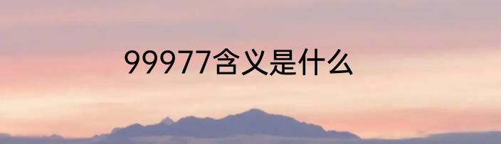 99977含义是什么