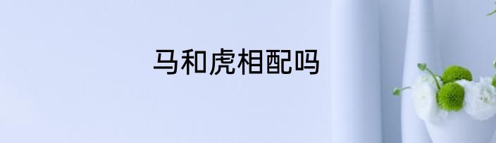 马和虎相配吗