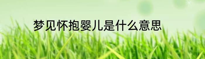梦见怀抱婴儿是什么意思