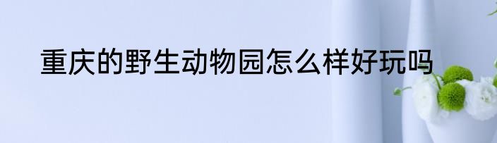 重庆的野生动物园怎么样好玩吗