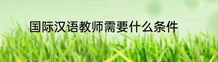 国际汉语教师需要什么条件
