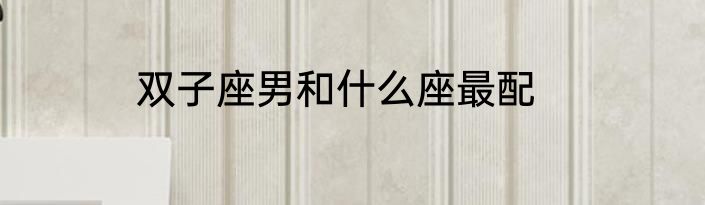 双子座男和什么座最配