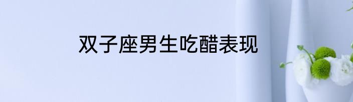 双子座男生吃醋表现