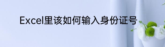 Excel里该如何输入身份证号