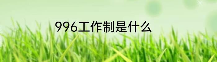 996工作制是什么
