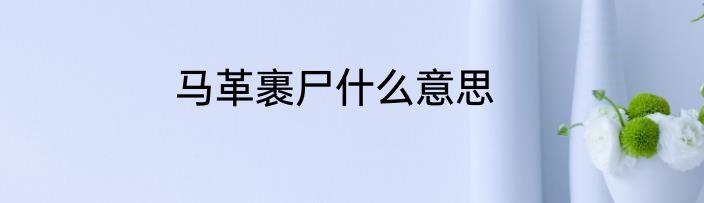 马革裹尸什么意思