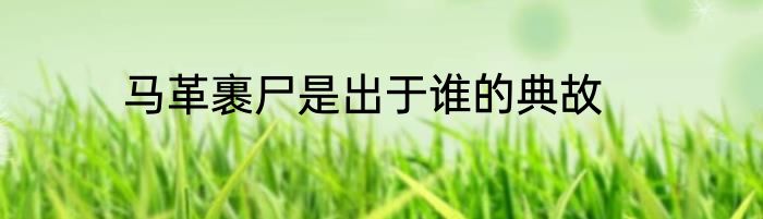 马革裹尸是出于谁的典故
