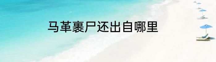 马革裹尸还出自哪里