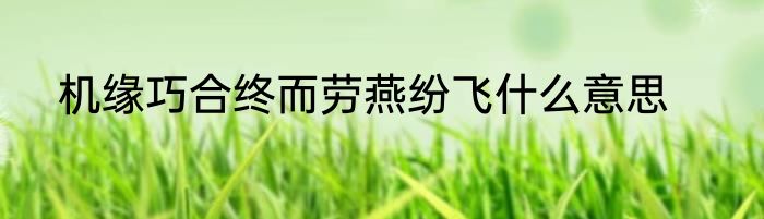 机缘巧合终而劳燕纷飞什么意思