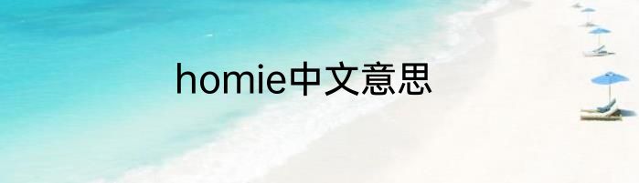 homie中文意思