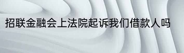 招联金融会上法院起诉我们借款人吗