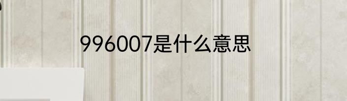 996007是什么意思