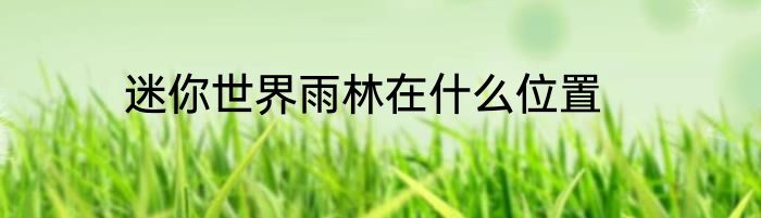 迷你世界雨林在什么位置