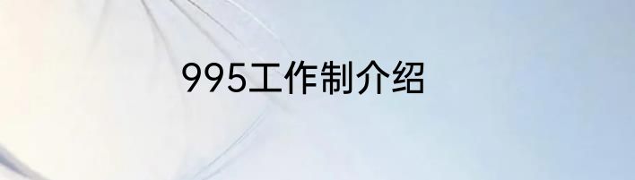 995工作制介绍
