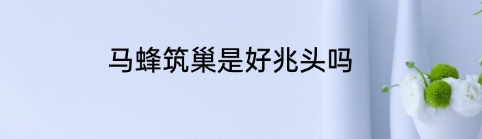 马蜂筑巢是好兆头吗