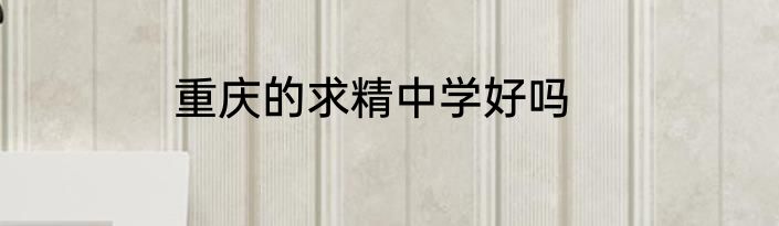 重庆的求精中学好吗