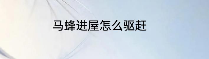 马蜂进屋怎么驱赶