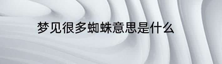 梦见很多蜘蛛意思是什么