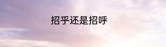 招乎还是招呼