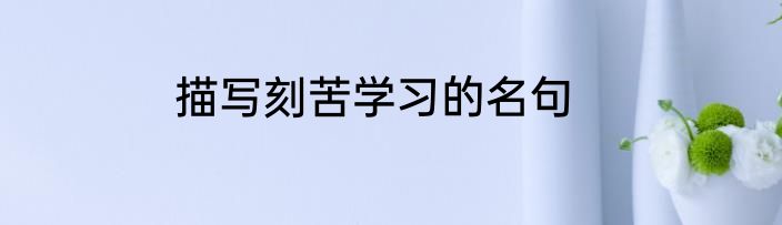 描写刻苦学习的名句