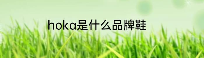 hoka是什么品牌鞋