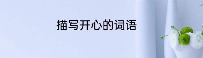 描写开心的词语