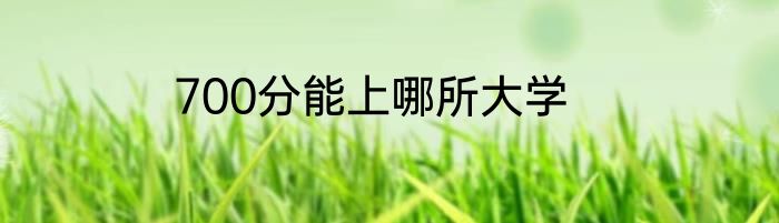 700分能上哪所大学