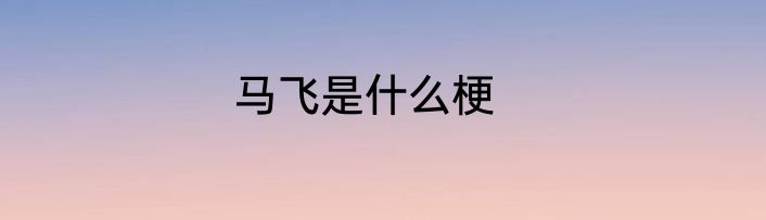马飞是什么梗