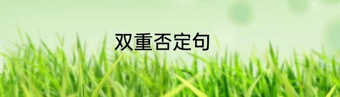 双重否定句