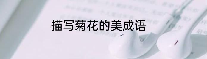描写菊花的美成语