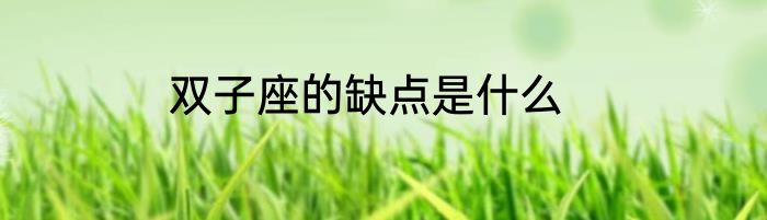 双子座的缺点是什么