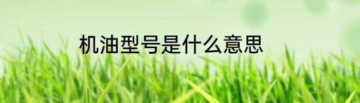 机油型号是什么意思